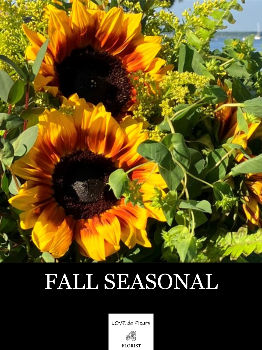 FALL SEASONAL