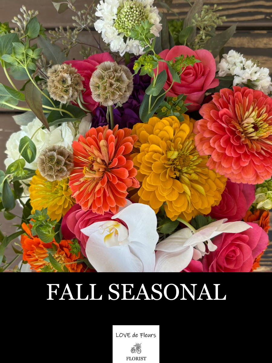 FALL SEASONAL