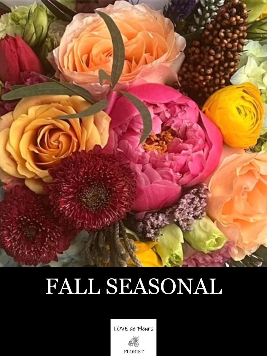 FALL SEASONAL