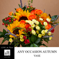 ANY OCCASION FLOWERS in AUTUMN