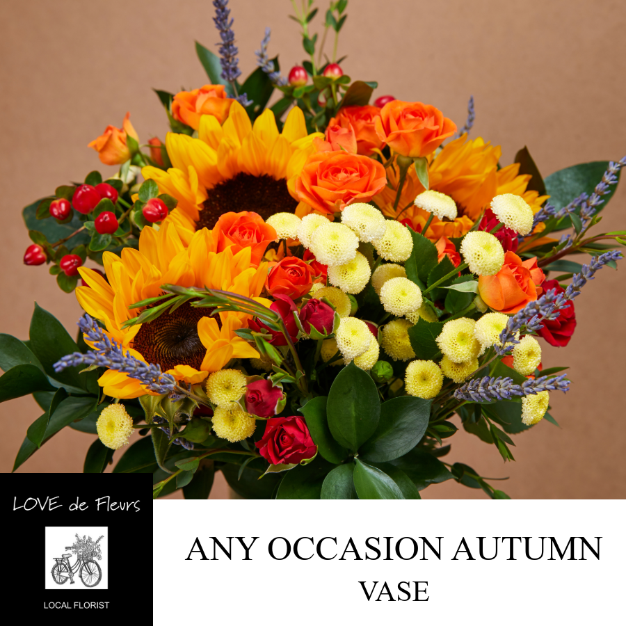 ANY OCCASION FLOWERS in AUTUMN