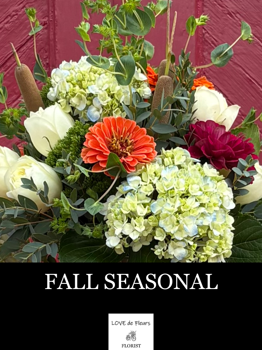 FALL SEASONAL