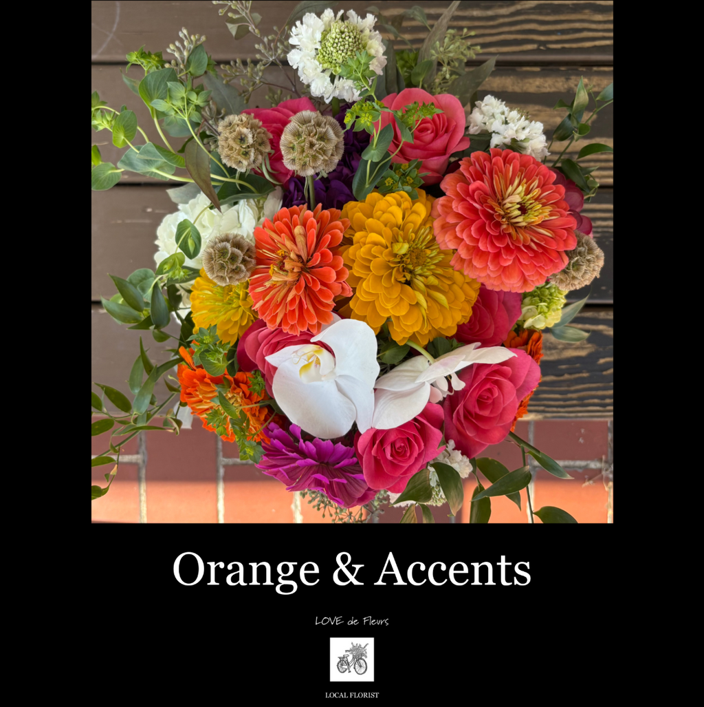 ORANGE & ACCENTS