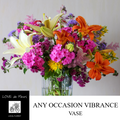 ANY OCCASION FLOWERS in VIBRANCE