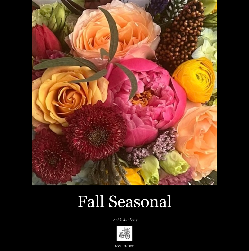 FALL SEASONAL