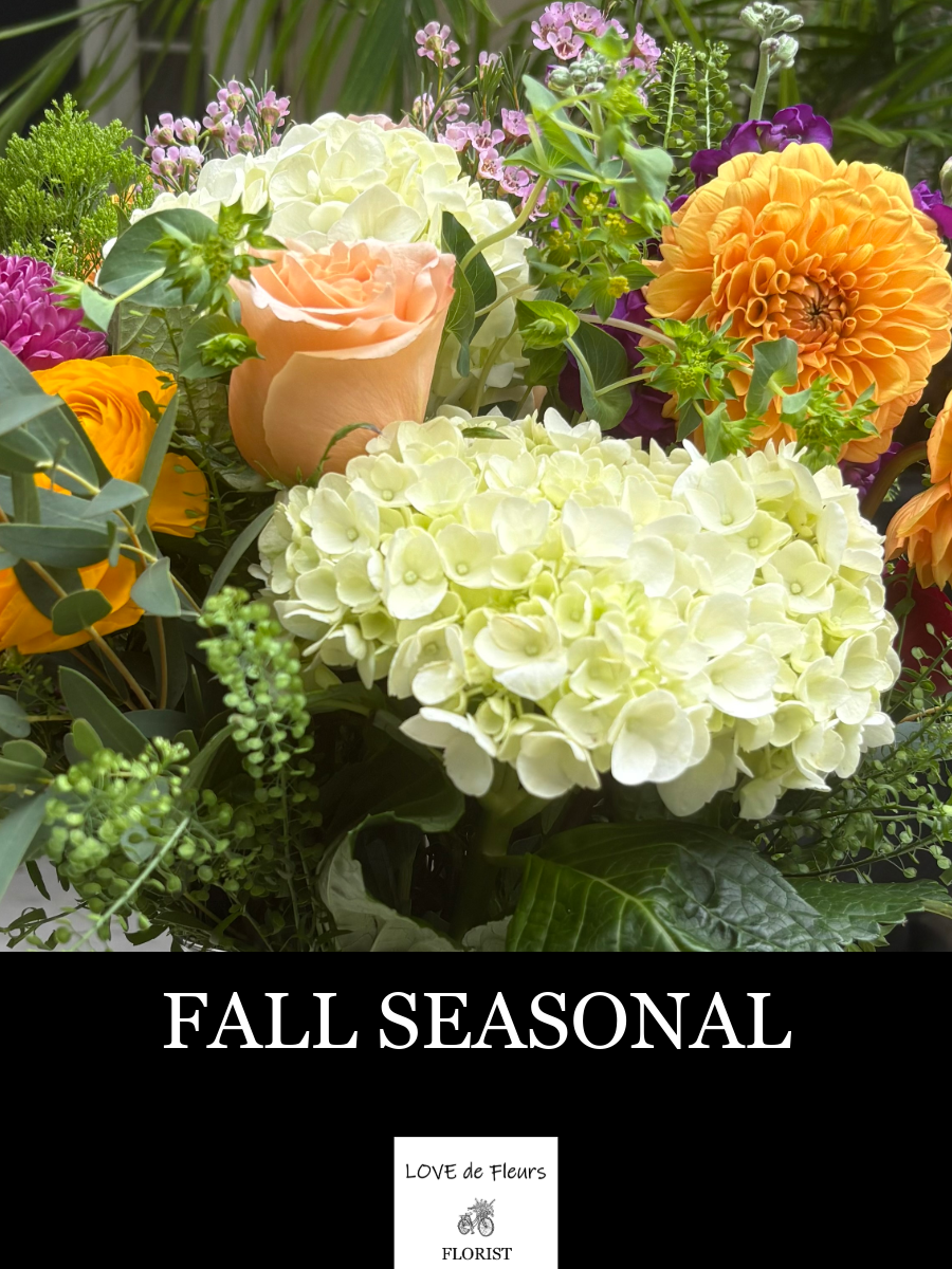 FALL SEASONAL