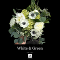 WHITE & GREEN