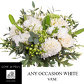 ANY OCCASION FLOWERS in WHITE