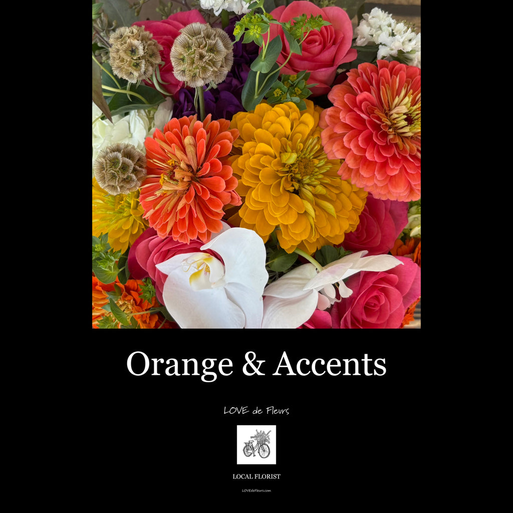 ORANGE & ACCENTS