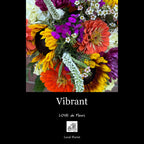 VIBRANT