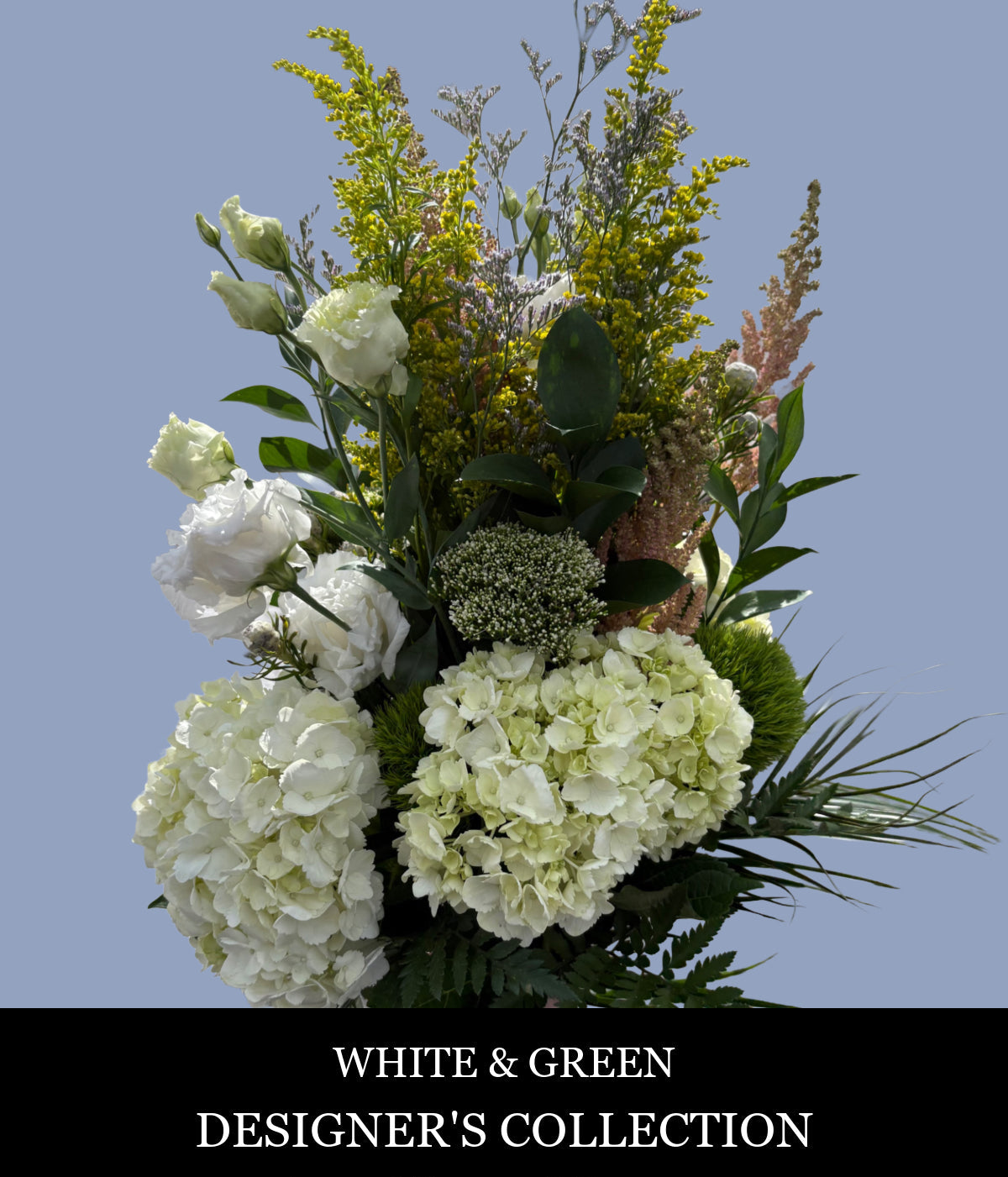 WHITE & GREEN